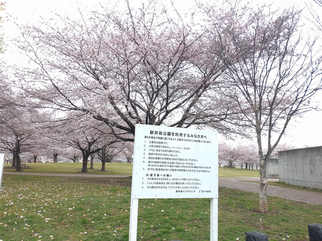 新井田公園　案内　看板