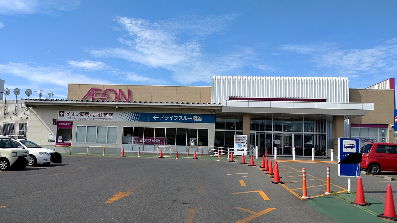 イオン　田向店　入口前