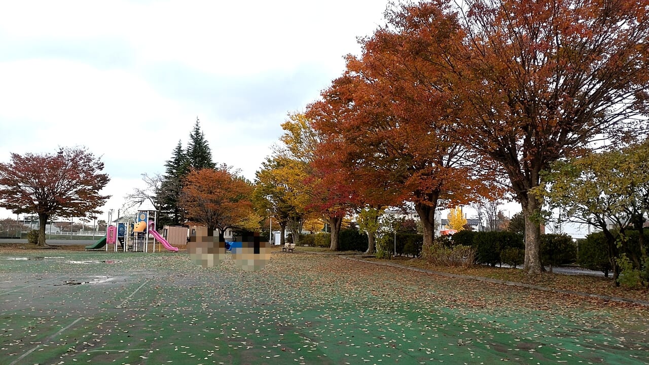 新井田公園　遊具　紅葉