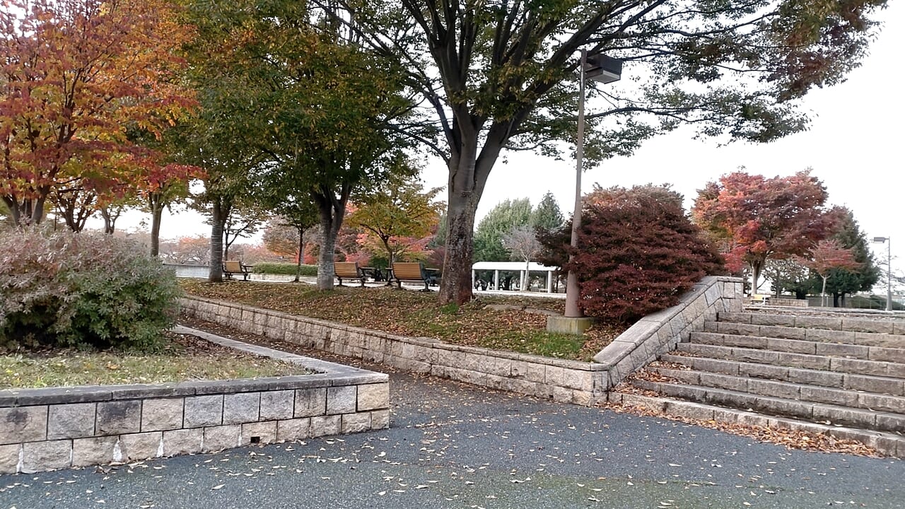 新井田公園　通路　階段