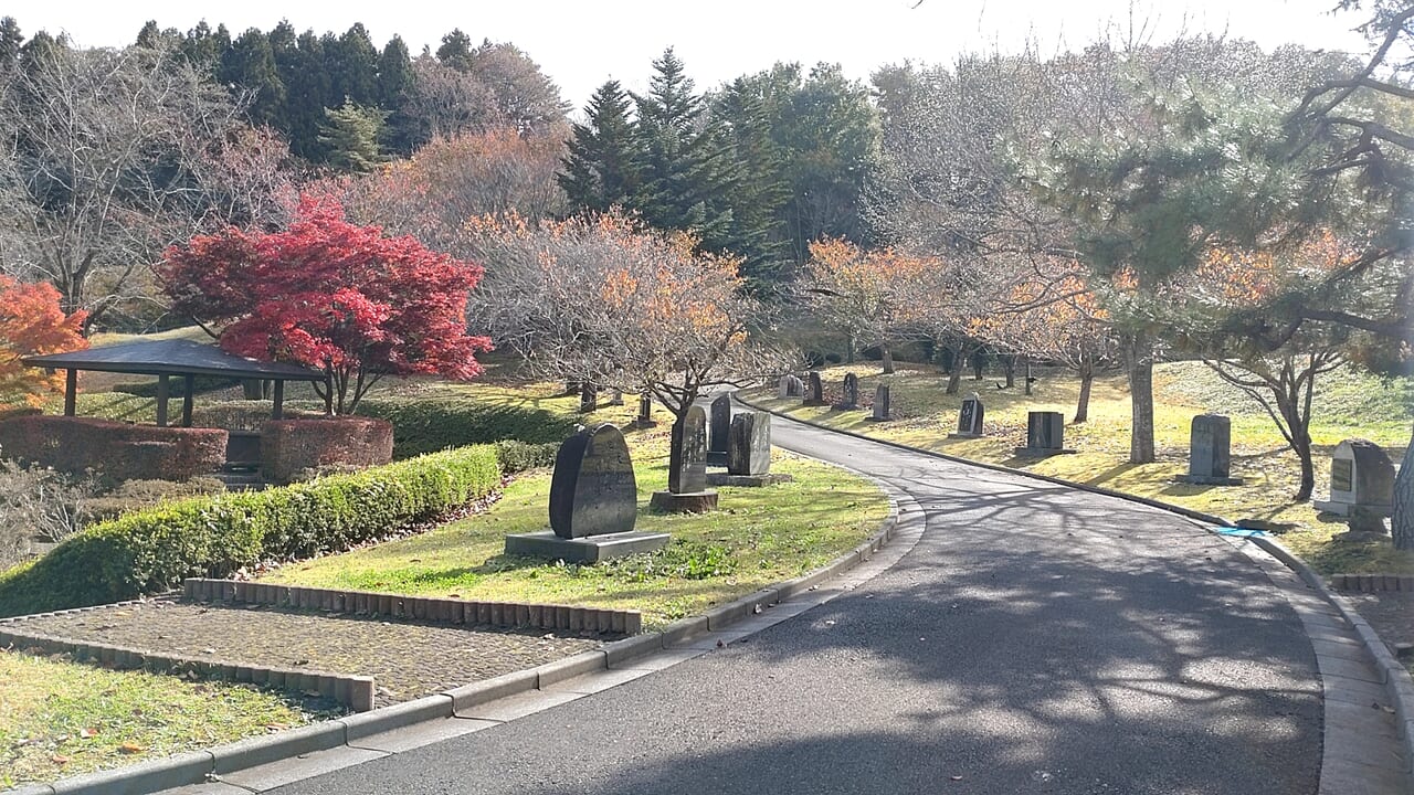 八戸公園　石碑　紅葉