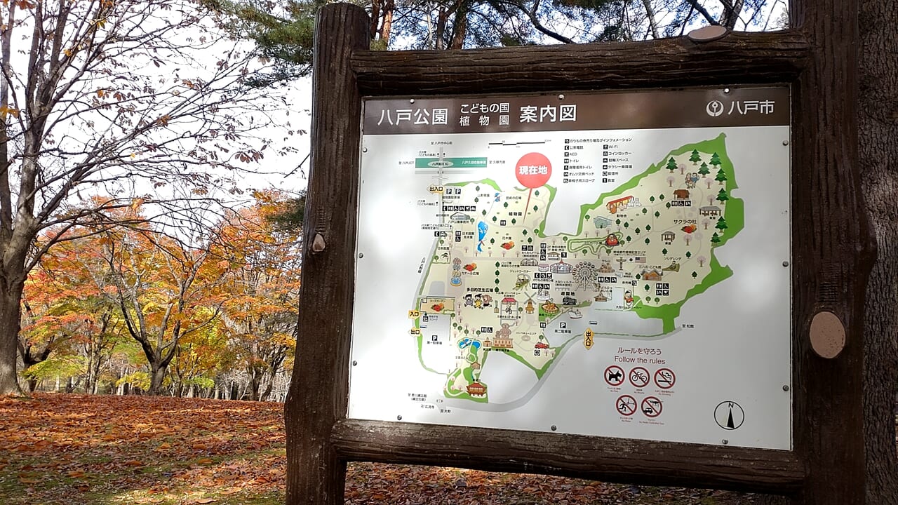 八戸公園　紅葉　案内看板