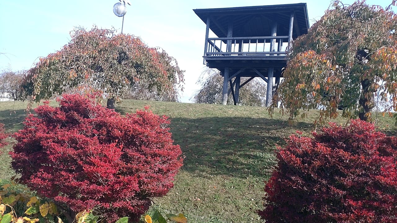 新井田公園　高台　紅葉