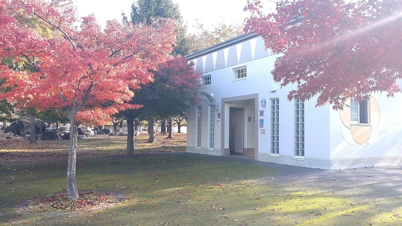 新井田公園　紅葉　トイレ