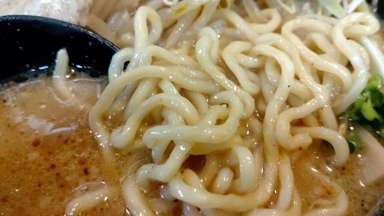 のすけ　みそのすけメス
麺