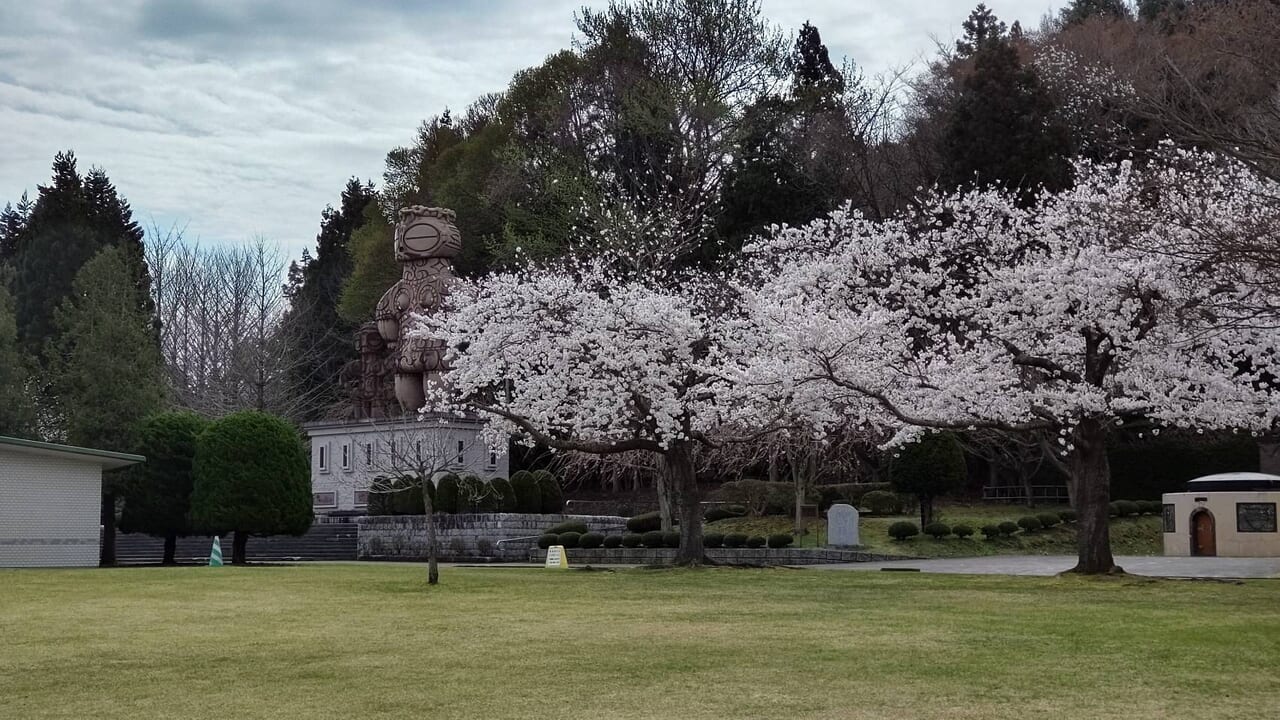 八戸公園　桜　土偶