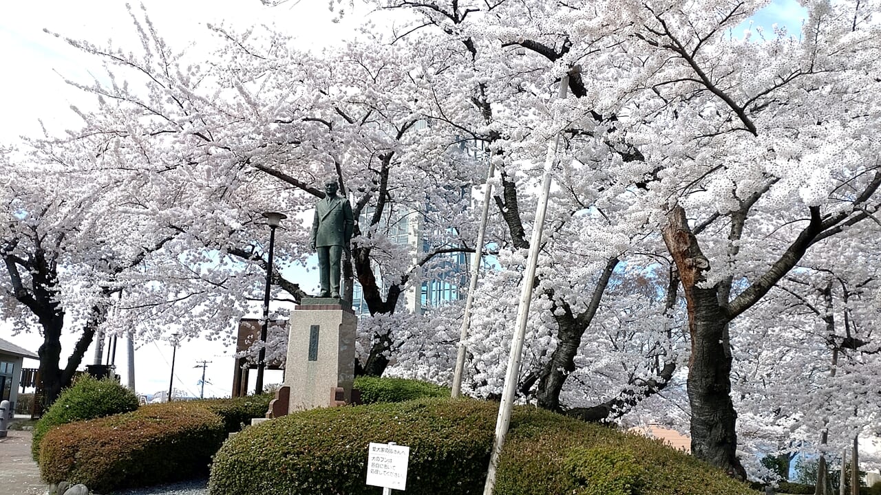 館鼻公園　桜　石像