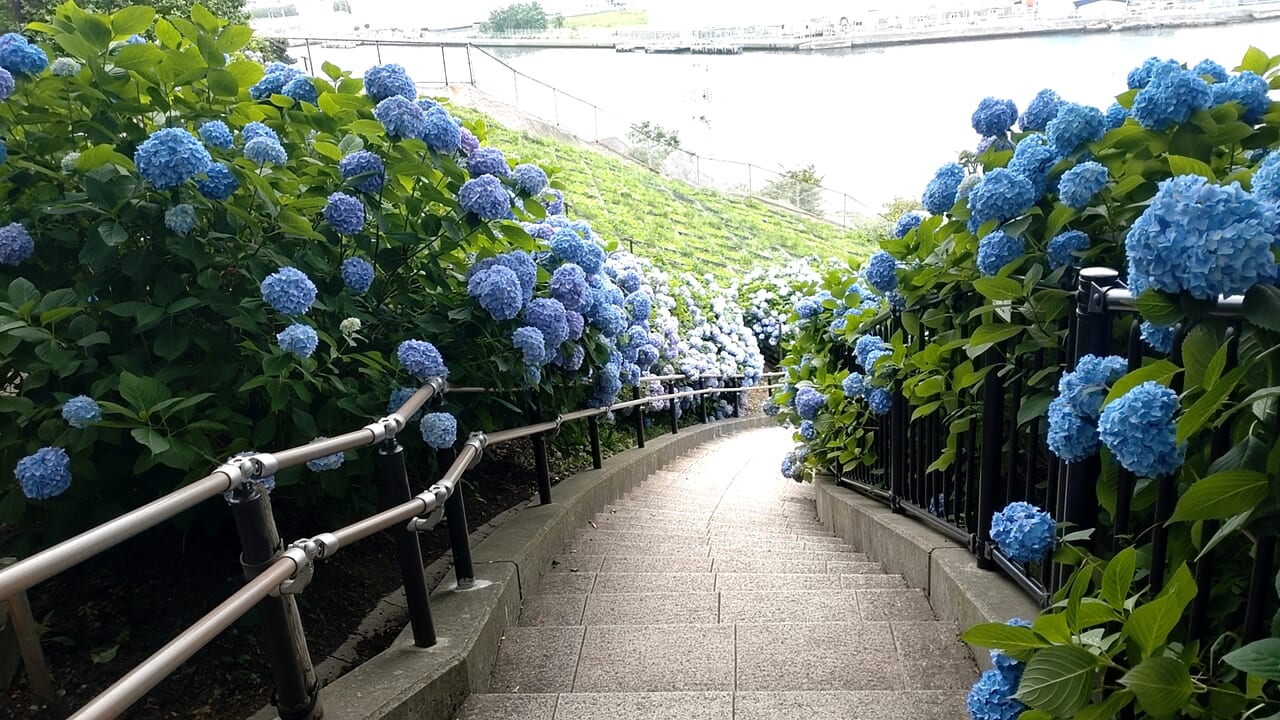 館鼻公園　階段　手すり