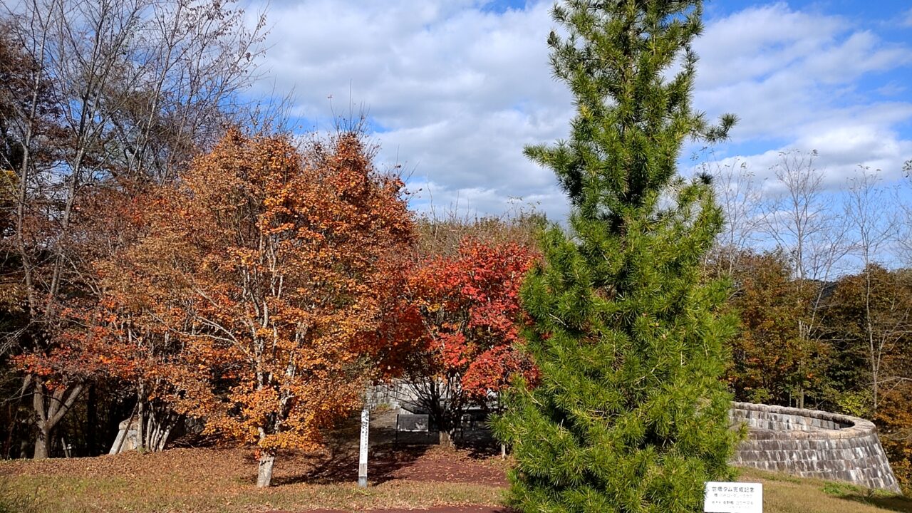 世増左岸　紅葉樹林　情景