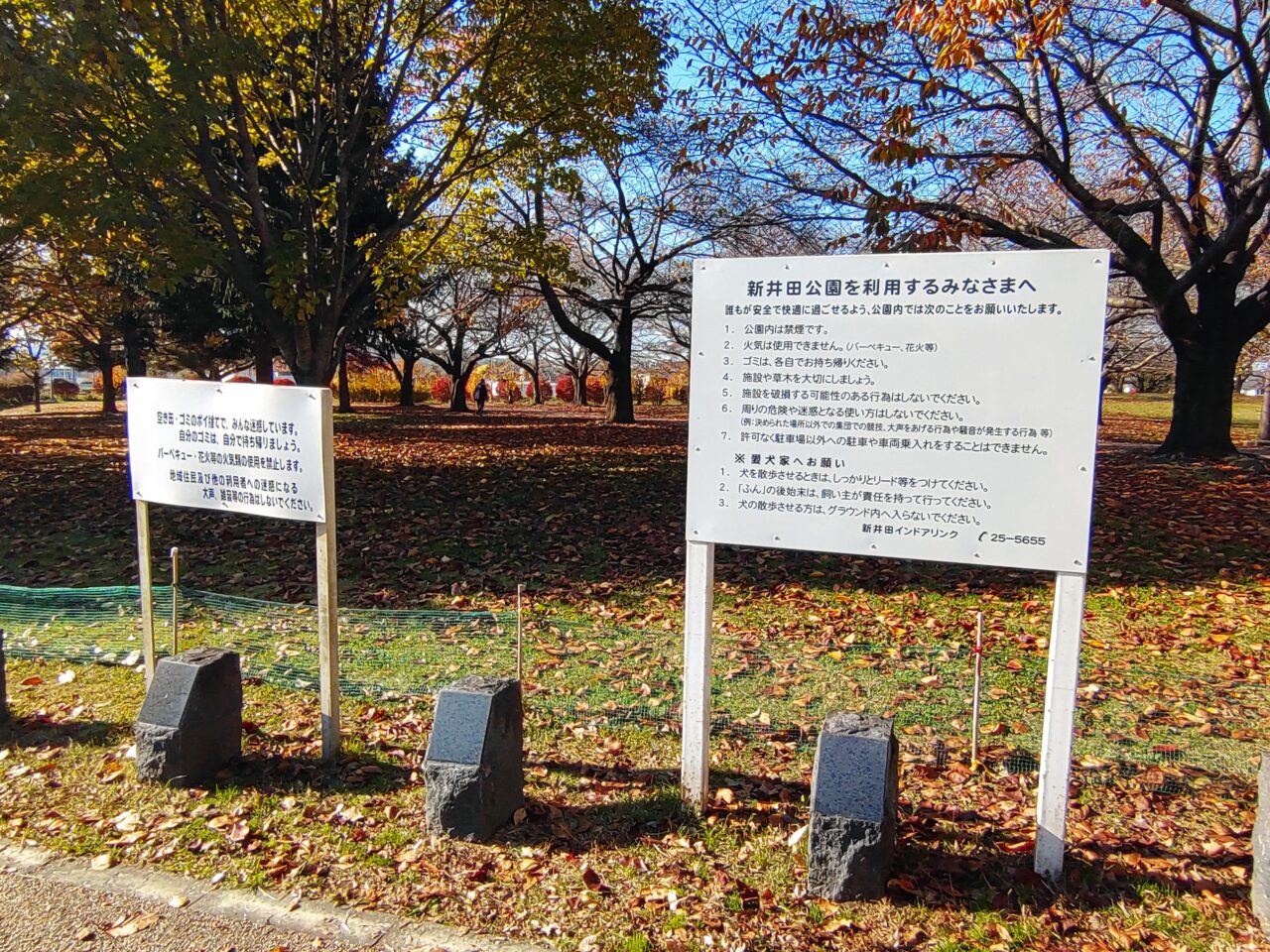 新井田公園　敷地内　落ち葉