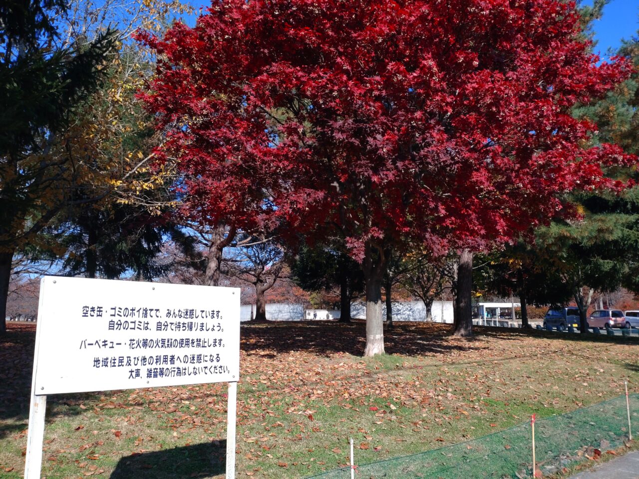 新井田公園　注意看板　紅葉