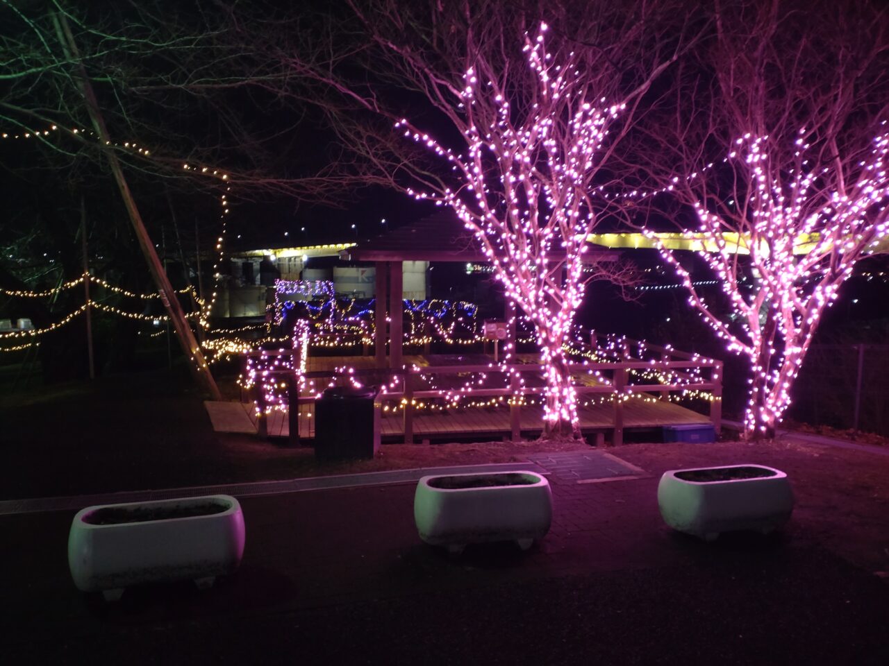 館鼻公園　イルミネーション　庭園