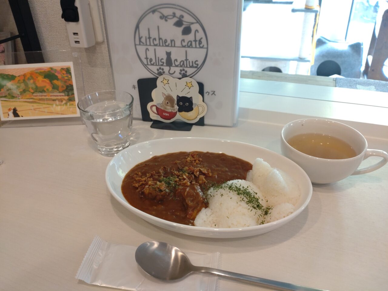 フェリスカトゥス　ビーフカレー　実物