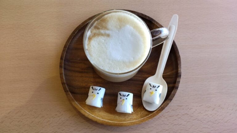 ボン助ラテ　海カフェたねさし　実物