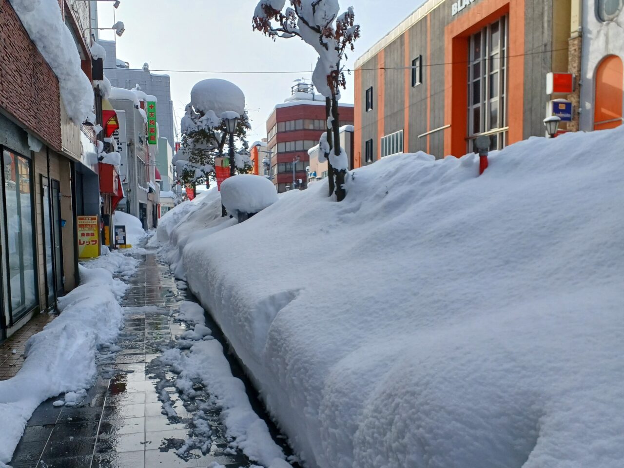 20250105歩道2