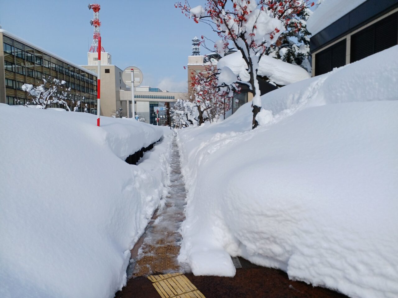 20250105歩道3