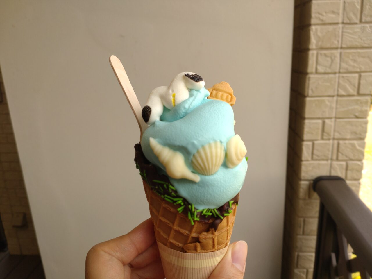 ワーフタネチ　海色ソフト　実物
