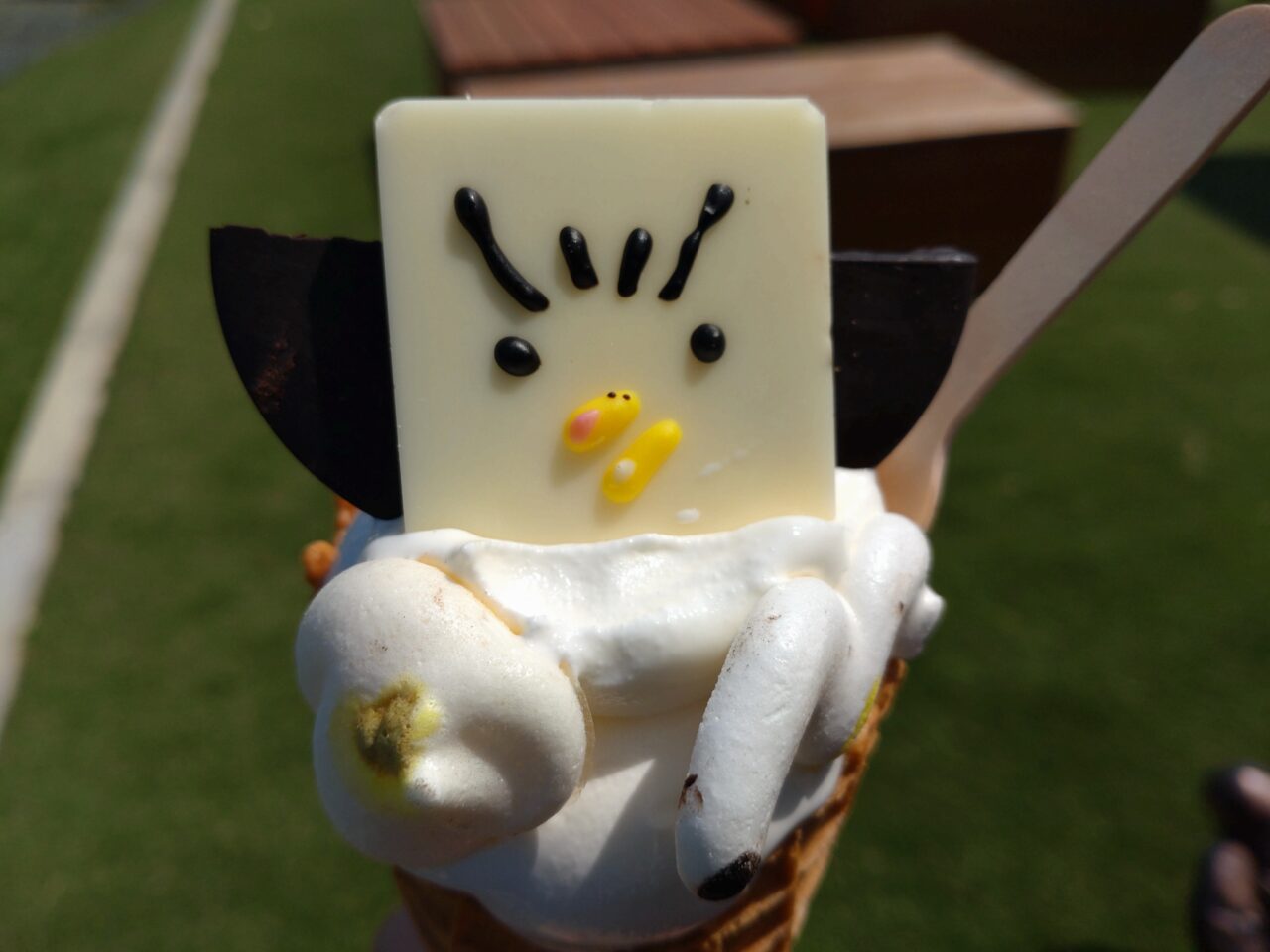 ボン助ソフト　実物　ワーフタネチ